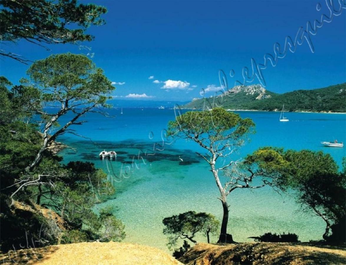 Magnifique Parc De La Presqu'Ile Avec Piscine Et Plage Face A Porquerolles ! Hyeres Exterior photo